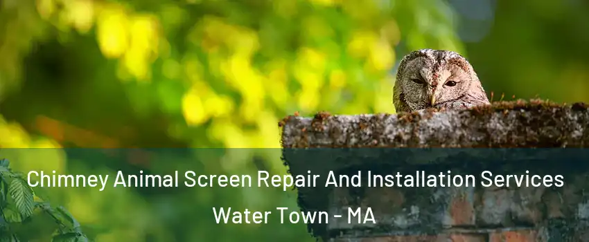  Chimney Animal Screen Repair And Installation Services Water Town - MA