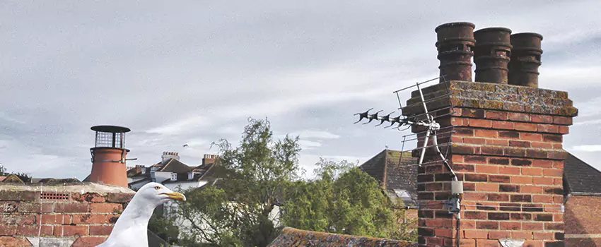 Chimney Cleaning And Restoration in Water Town, Massachusetts