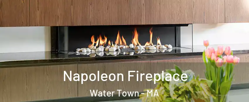  Napoleon Fireplace Water Town - MA